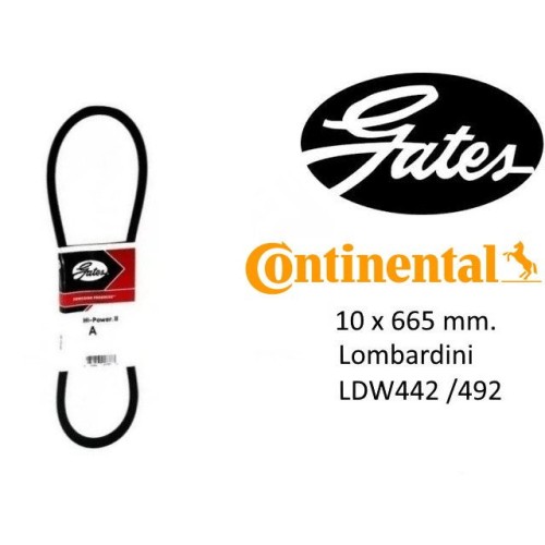 CORREA ALTERNADOR ORIGINAL LDW442 / 492