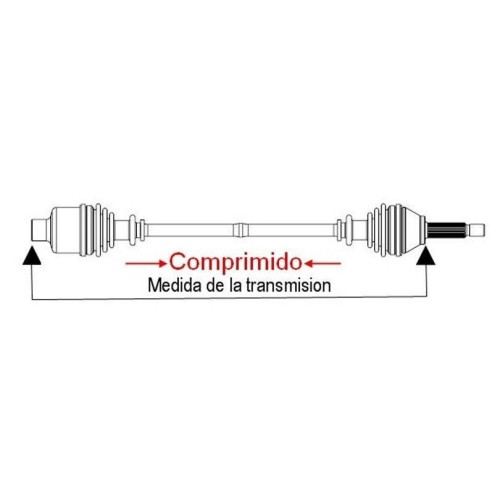 TRANSMISIÓN