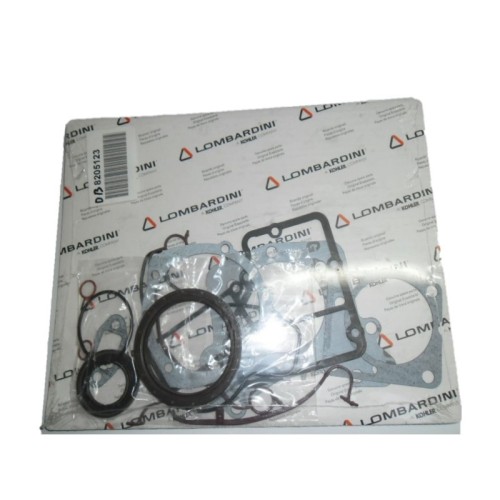 CONJUNTO DE PARTE BAJA MOTOR