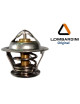 TERMOSTATO MOTOR ORIGINAL  